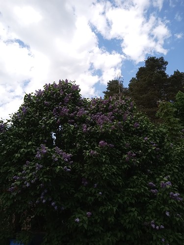 IMG_20230524_144418_008