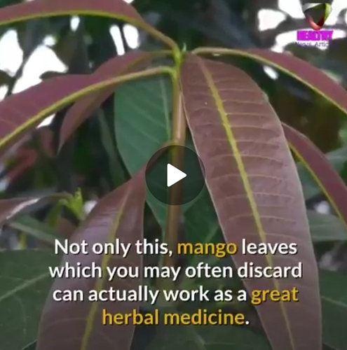 Screenshot_20210706-183518_WhatsApp