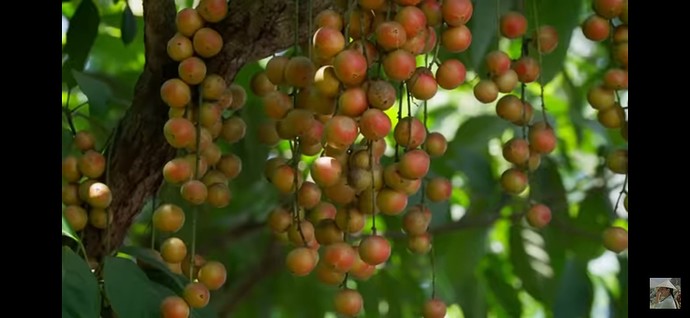 Screenshot_20230913-144806_YouTube