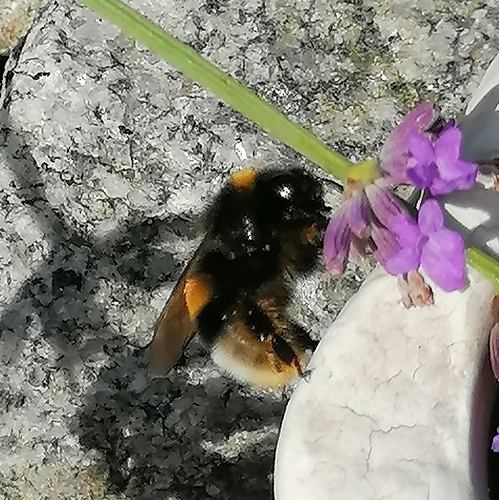 Screenshot_20210728_112101
