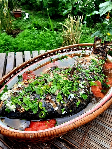 FB_IMG_1657382395371