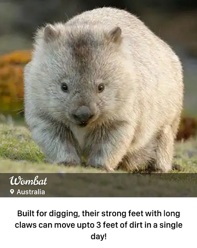 Screenshot_20220919-024333_Word%20Trip