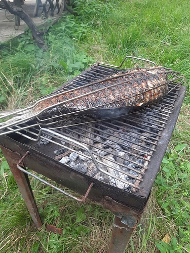 FB_IMG_1657382392821