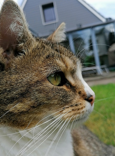 Screenshot_20210701_162824