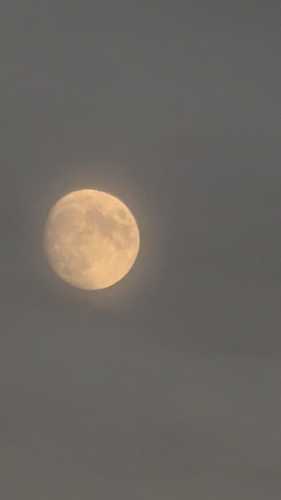 IMG-20231028-WA0006