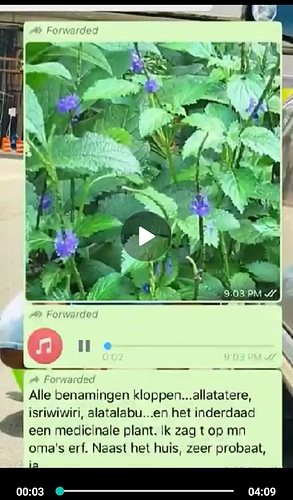 Screenshot_20210920-005153_WhatsApp