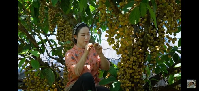 Screenshot_20230913-144951_YouTube