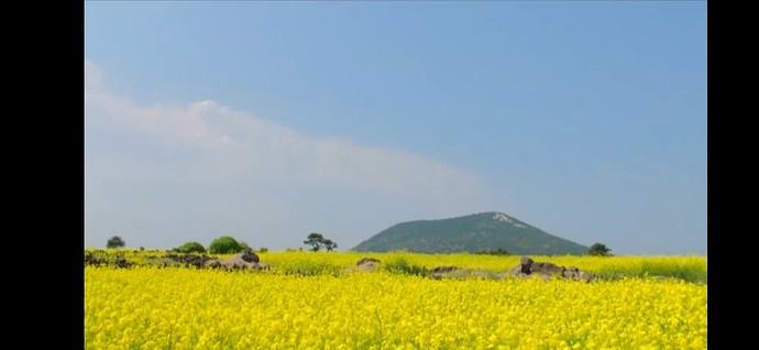 Screenshot_20231008-174446_Chrome