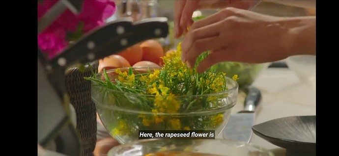 Screenshot_20231008-174524_Chrome