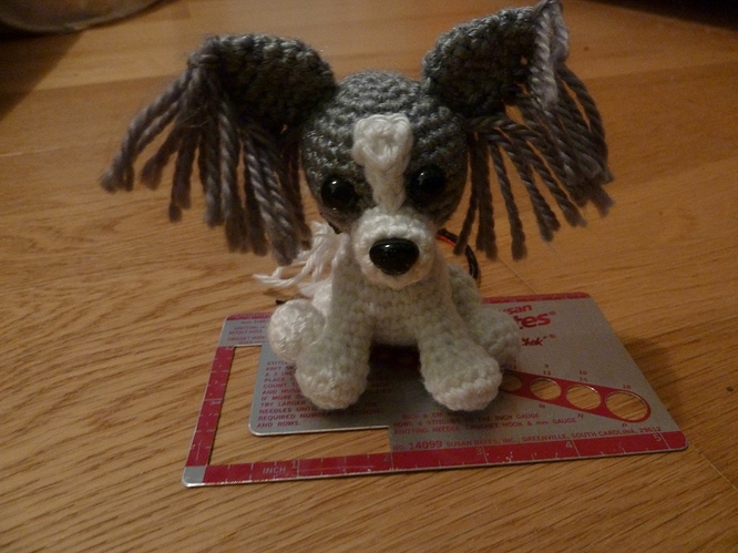 Ruby%20-%20Papillion