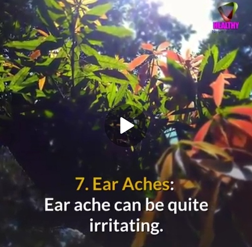 Screenshot_20210706-184041_WhatsApp