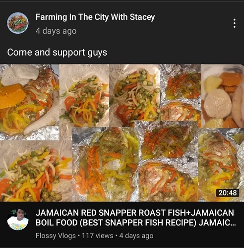 Screenshot_20210722-030008_YouTube