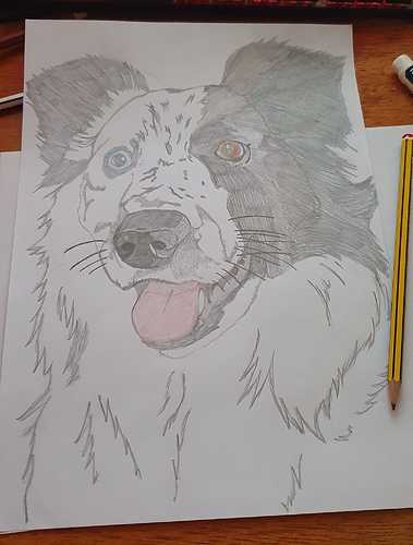 345064139_174461555219930_8930628675998968657_n