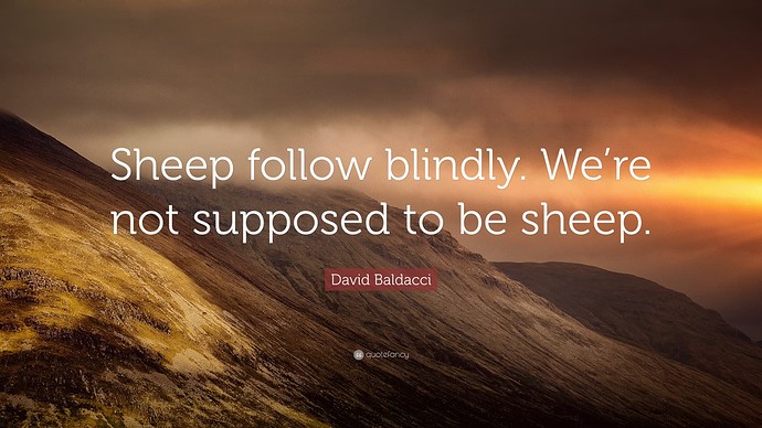 6696813-David-Baldacci-Quote-Sheep-follow-blindly-We-re-not-supposed-to-be