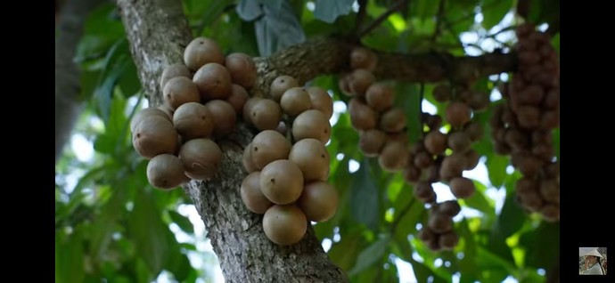 Screenshot_20230913-144814_YouTube