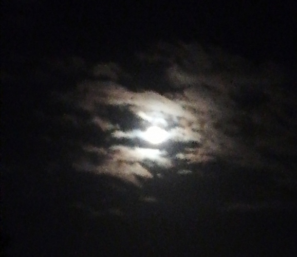 Screenshot_20201104_110743