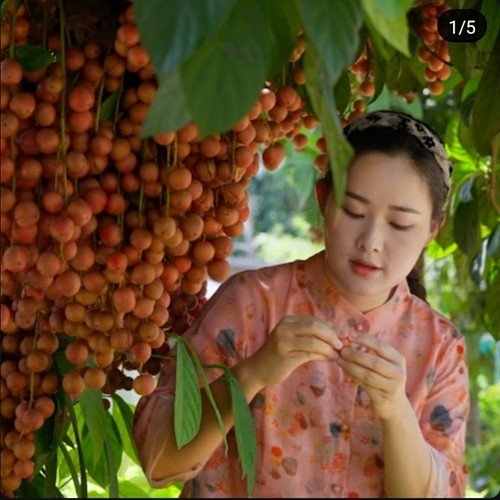 Screenshot_20230913-143028_YouTube