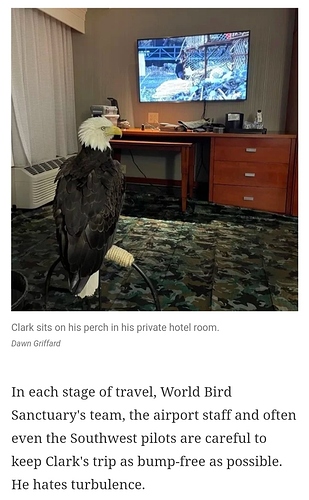 Screenshot_20220829-005126_Chrome