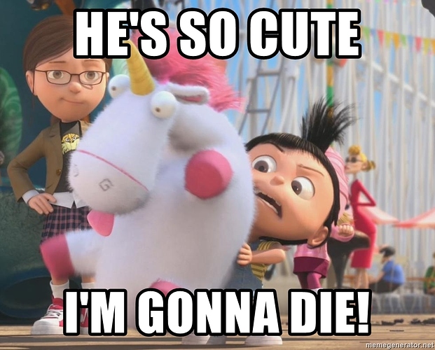 hes-so-cute-im-gonna-die
