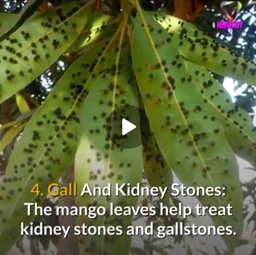 Screenshot_20210706-183840_WhatsApp