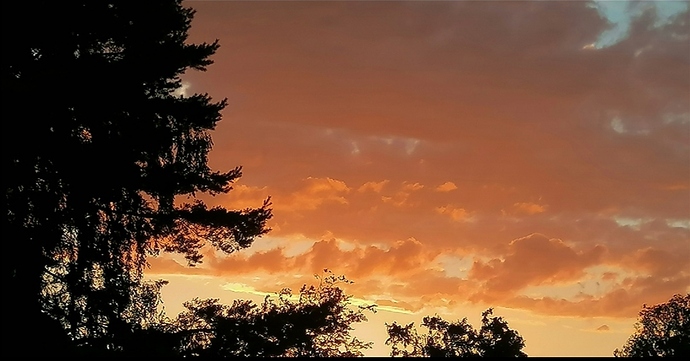 Screenshot_20210719_211836