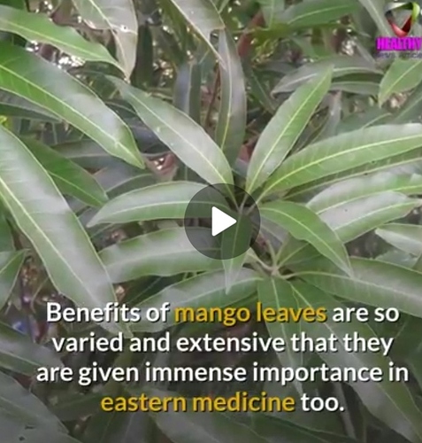 Screenshot_20210706-183536_WhatsApp