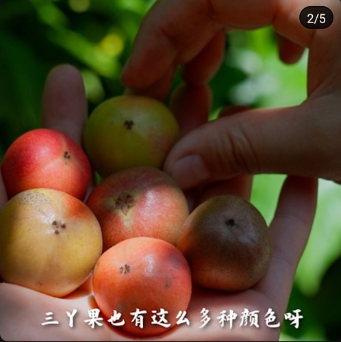 Screenshot_20230913-143034_YouTube