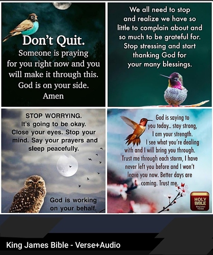 Screenshot_20230126-194236_YouTube