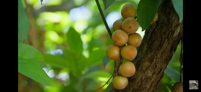 Screenshot_20230913-144826_YouTube