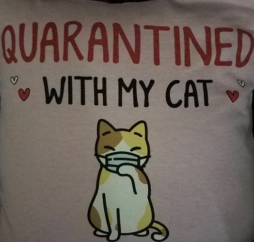 quarantine%20cat