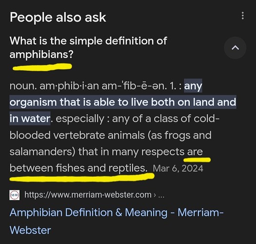Screenshot_20240316-120225_Google