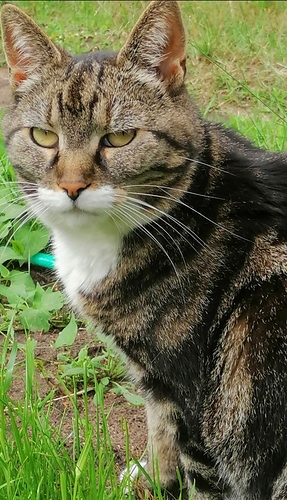 Screenshot_20210701_162804