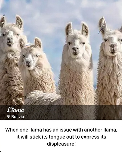 Screenshot_20210810-050319_Word%20Trip