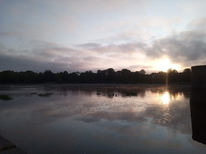 IMG_20230527_053349_226