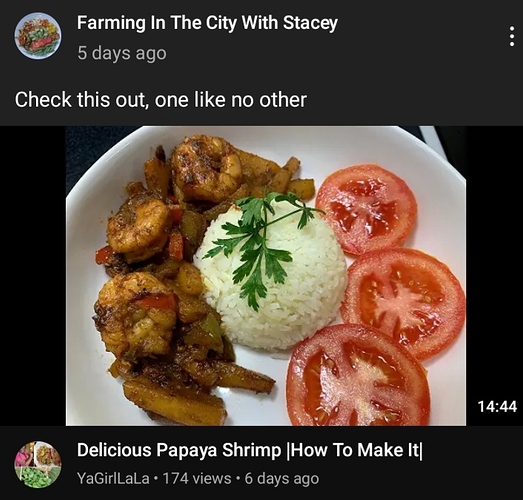 Screenshot_20210722-030959_YouTube