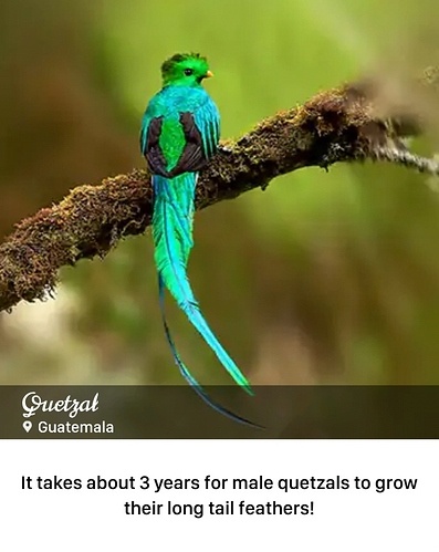 Screenshot_20220407-000652_Word%20Trip