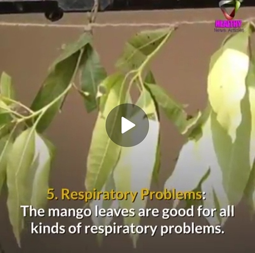 Screenshot_20210706-183905_WhatsApp