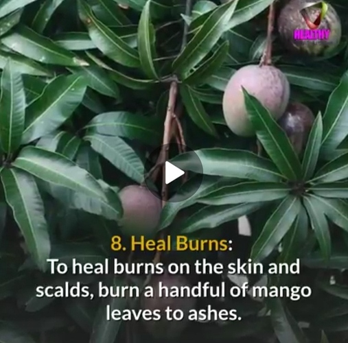 Screenshot_20210706-184108_WhatsApp