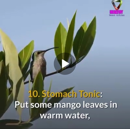 Screenshot_20210706-184200_WhatsApp