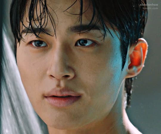 tumblr_4254cdb1b098457d45e456da1eb21365_3e932a4d_540