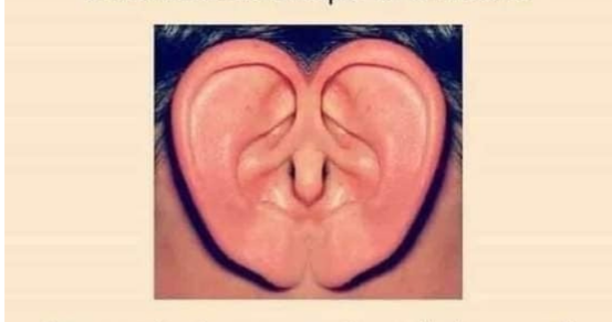 Screenshots_2021-05-08-18-25-33