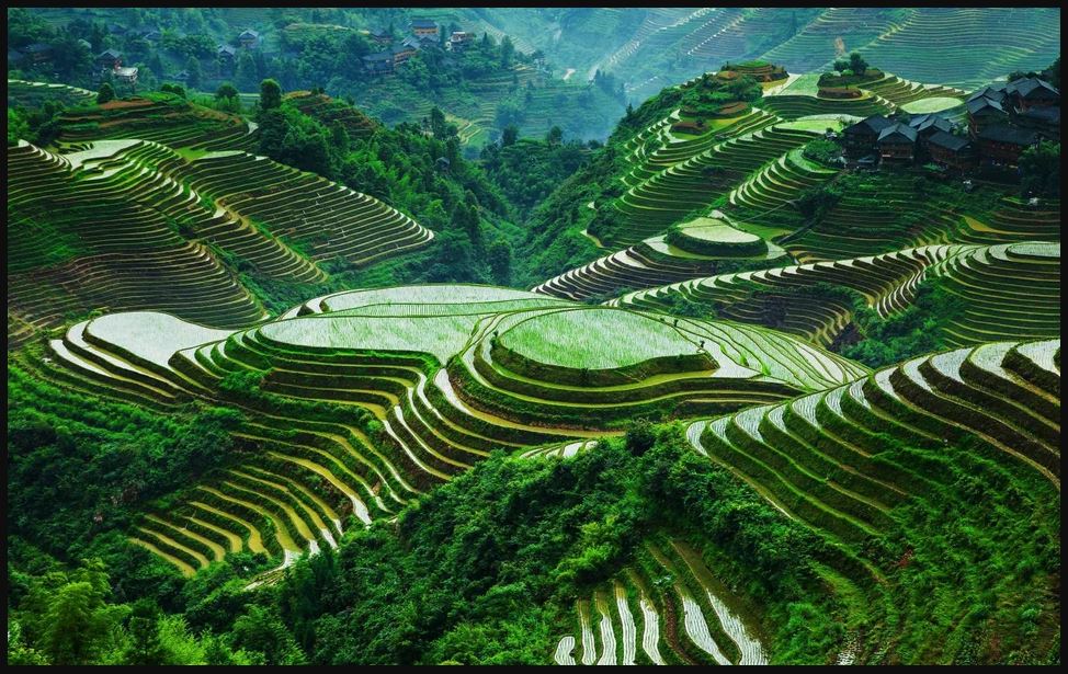 Banaue-rice-terraces