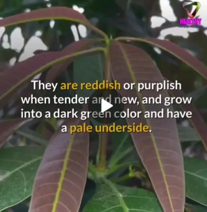 Screenshot_20210706-183606_WhatsApp